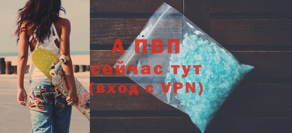 стаф Ростов