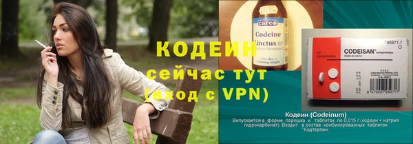стаф Ростов