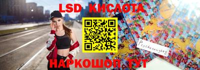твердый Бийск
