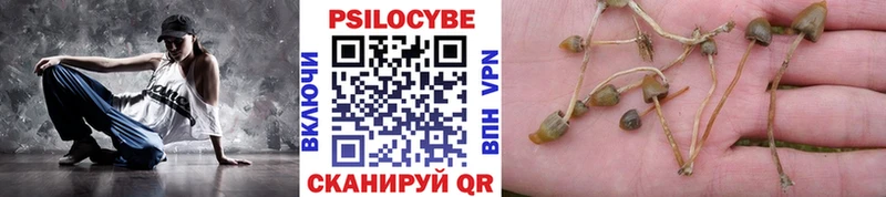 Галлюциногенные грибы прущие грибы  Волгоград 