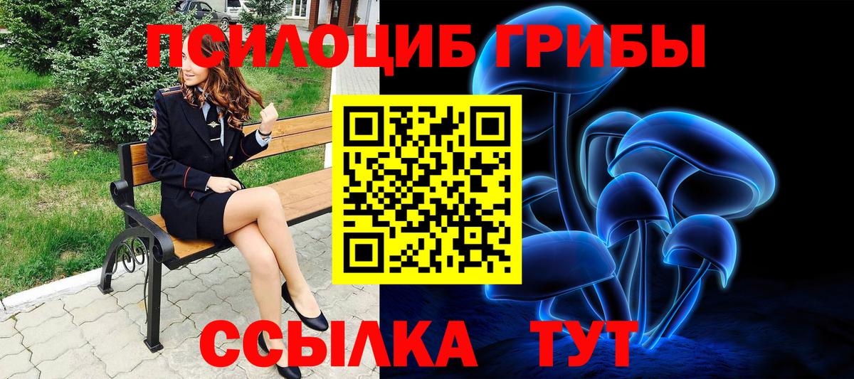 Галлюциногенные грибы Psilocybe  Волгоград  Галлюциногенные грибы GOLDEN TEACHER 