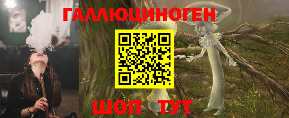 Псилоцибиновые грибы Psilocybine cubensis Волгоград